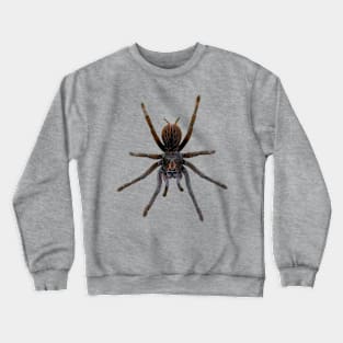 Spider Crewneck Sweatshirt